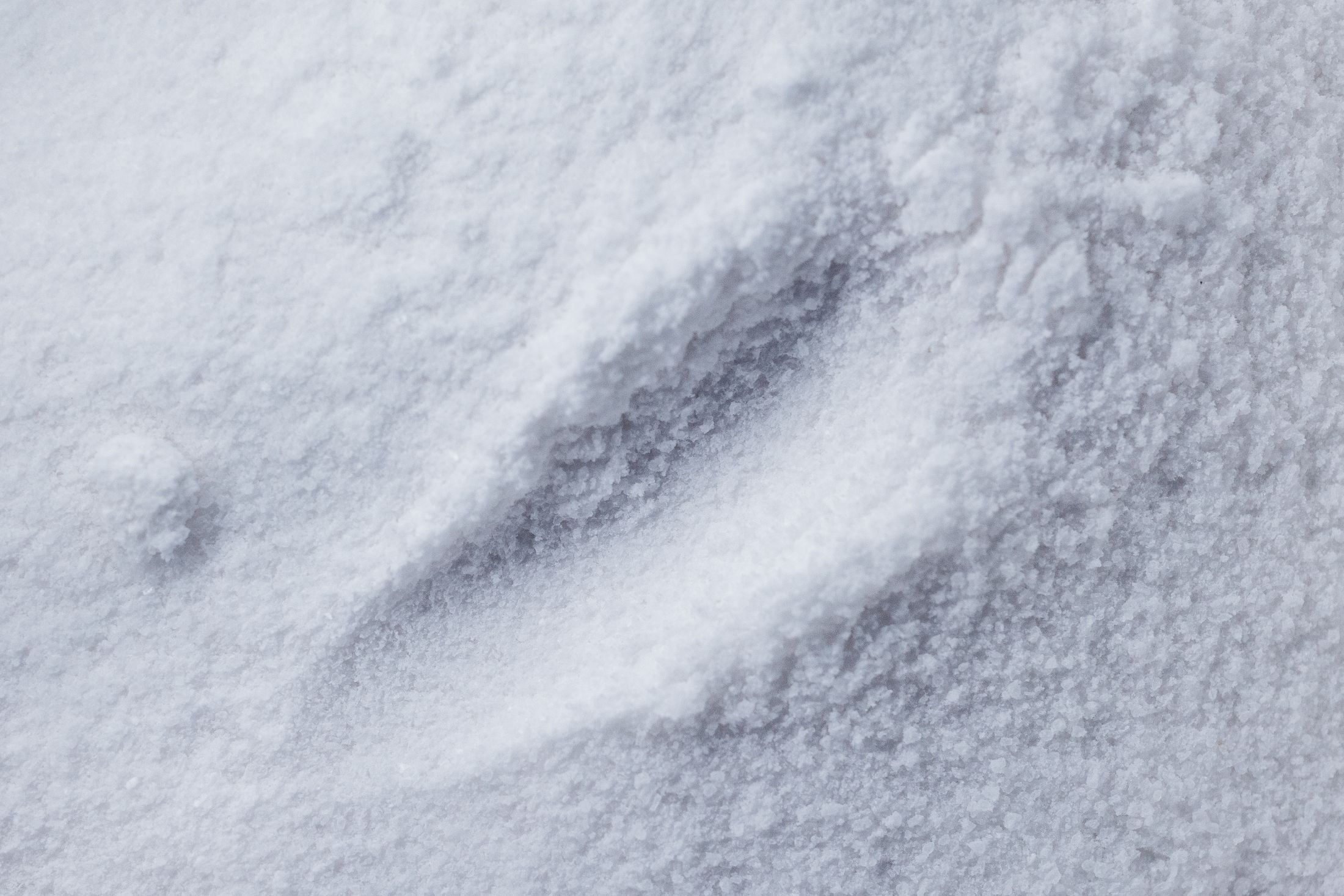 Close-up of white precipitated silica powder with a sampling mark